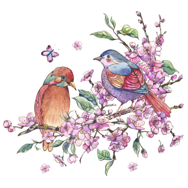 水彩画花的春天贺卡,粉红色盛开的樱花,桃花,小鸟图片 水彩画花的春天贺卡,粉红色盛开的樱花,桃花,小鸟图片下载