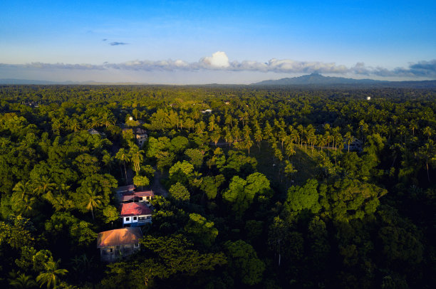 巴图拉奥·勒梅里图片 巴图拉奥·勒梅里图片下载