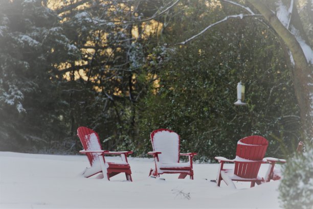 白雪覆盖的冬日早晨图片 白雪覆盖的冬日早晨图片下载