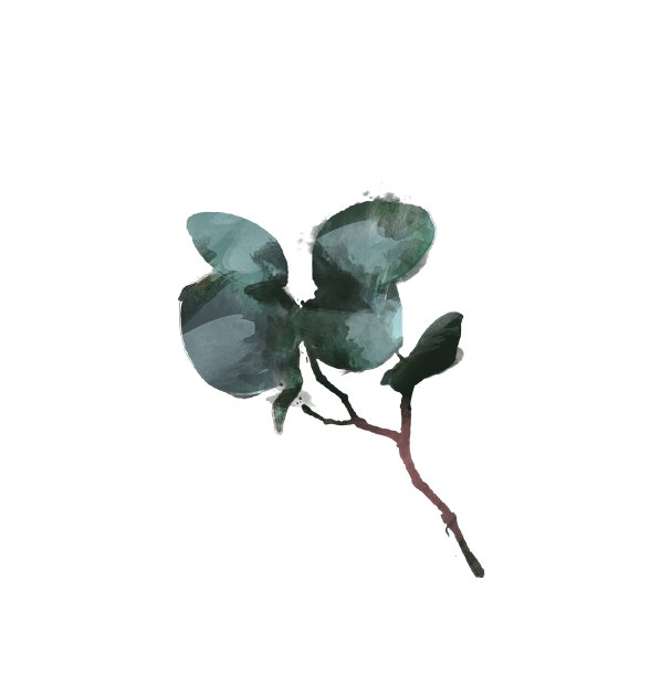 水彩现代装饰元素集。桉树圆绿叶花环,绿叶树枝,花环,边框,框架,优雅的水彩孤立,很好的婚礼邀请,卡片或打印图片 水彩现代装饰元素集。桉树圆绿叶花环,绿叶树枝,花环,边框,框架,优雅的水彩孤立,很好的婚礼邀请,卡片或打印图片下载