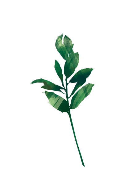 水彩现代装饰元素集。桉树圆绿叶花环,绿叶树枝,花环,边框,框架,优雅的水彩孤立,很好的婚礼邀请,卡片或打印图片 水彩现代装饰元素集。桉树圆绿叶花环,绿叶树枝,花环,边框,框架,优雅的水彩孤立,很好的婚礼邀请,卡片或打印图片下载