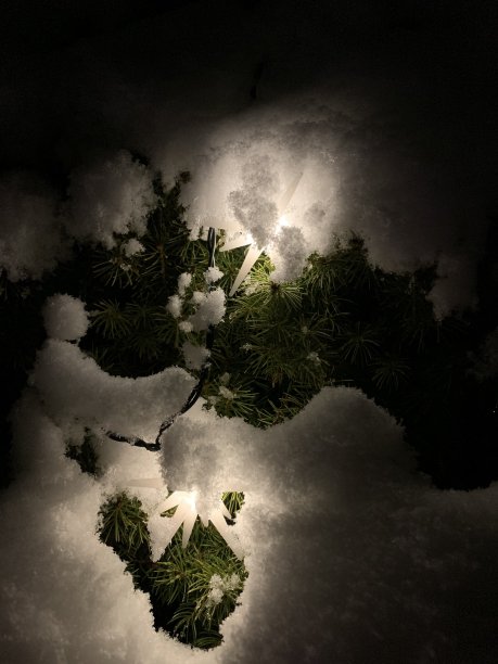 雪中的圣诞彩灯图片 雪中的圣诞彩灯图片下载