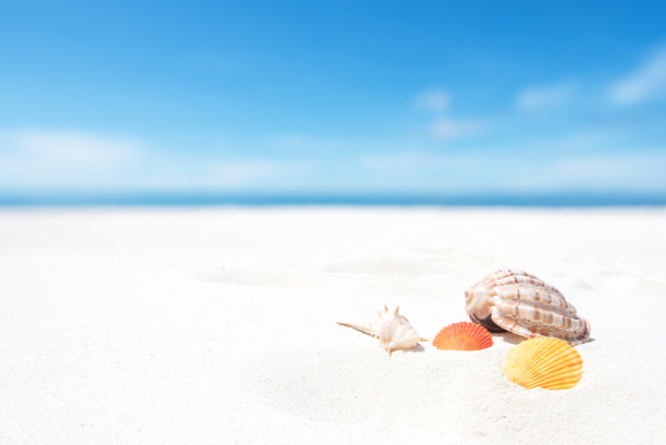 夏天的海滩图片 夏天的海滩图片下载