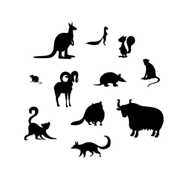 一组动物的剪影。袋鼠,旱鼠,松鼠,田鼠,乌拉尔,犰狳,猕猴,狐猴,浣熊,牦牛,牛羚图片 一组动物的剪影。袋鼠,旱鼠,松鼠,田鼠,乌拉尔,犰狳,猕猴,狐猴,浣熊,牦牛,牛羚图片下载