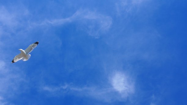 天空的蓝色图片 天空的蓝色图片下载