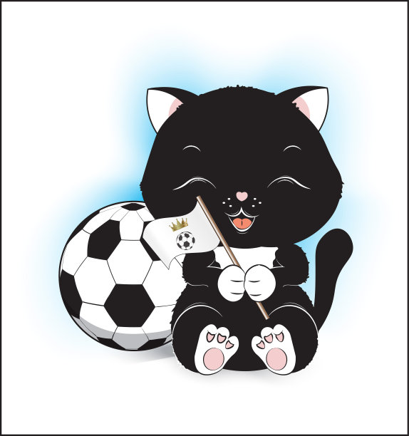 小猫咪黑白相间的足球迷图片 小猫咪黑白相间的足球迷图片下载