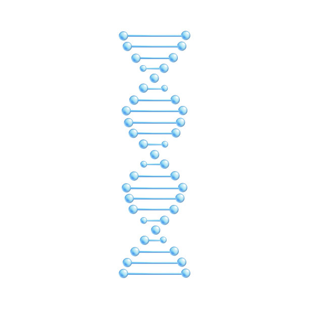 载体DNA分子螺旋螺旋遗传密码图片 载体DNA分子螺旋螺旋遗传密码图片下载