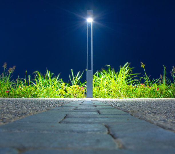夜空中发光的路灯图片 夜空中发光的路灯图片下载