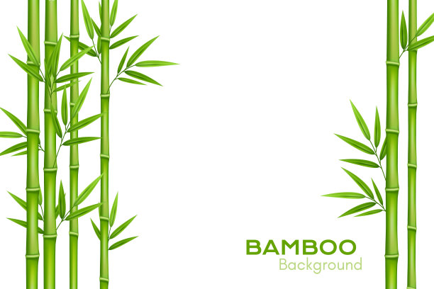 竹背景与地方的文本。现实的矢量插图与绿色竹茎与叶。图片 竹背景与地方的文本。现实的矢量插图与绿色竹茎与叶。图片下载