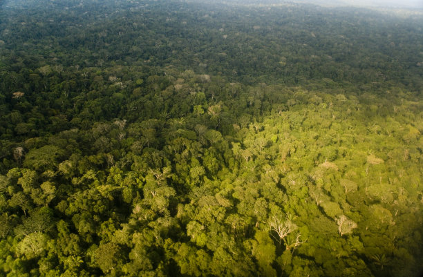 南美厄瓜多尔东部地区上空丛林和景观的航拍照片图片 南美厄瓜多尔东部地区上空丛林和景观的航拍照片图片下载