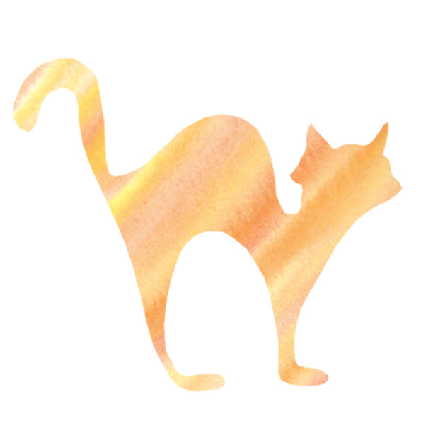 万圣节的彩色猫剪影。图片 万圣节的彩色猫剪影。图片下载