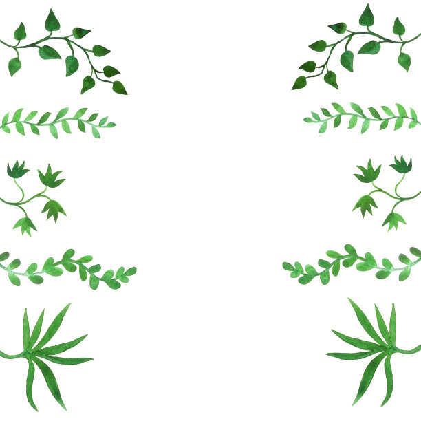 水彩画框架由热带树叶,棕榈树和花图片 水彩画框架由热带树叶,棕榈树和花图片下载