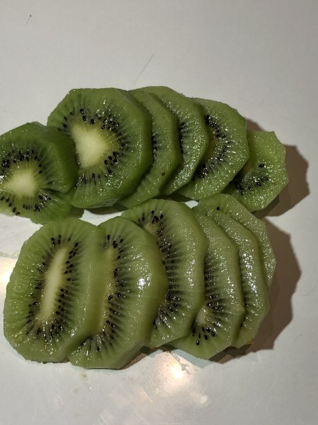 白色背景上的几维鸟照片图片 白色背景上的几维鸟照片图片下载