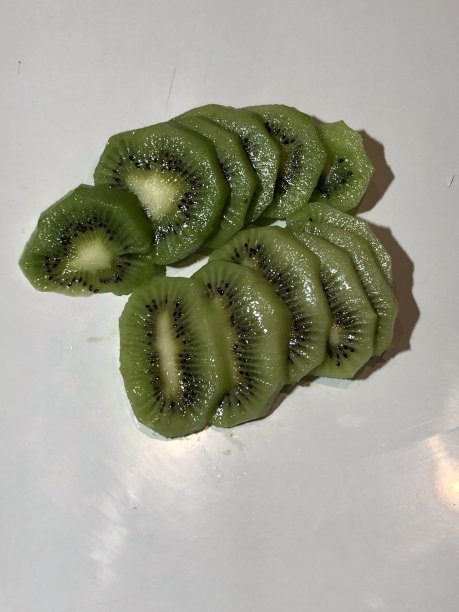 白色背景上的几维鸟照片图片 白色背景上的几维鸟照片图片下载