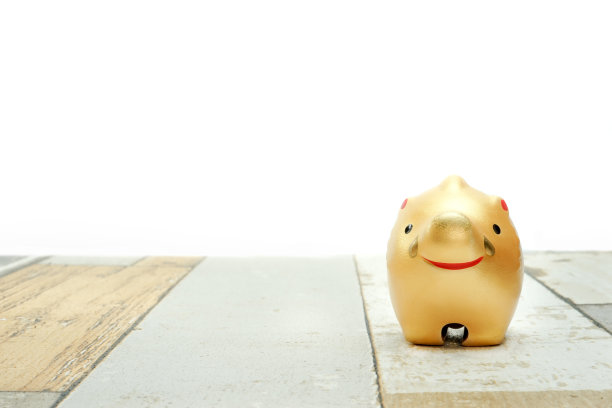 日本新年野猪反对图片 日本新年野猪反对图片下载