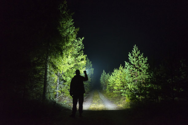 一个人站在户外,在黑暗的夜晚用手电筒发光图片 一个人站在户外,在黑暗的夜晚用手电筒发光图片下载
