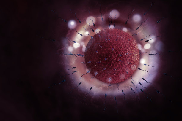 精子和卵细胞的科学背景图片 精子和卵细胞的科学背景图片下载
