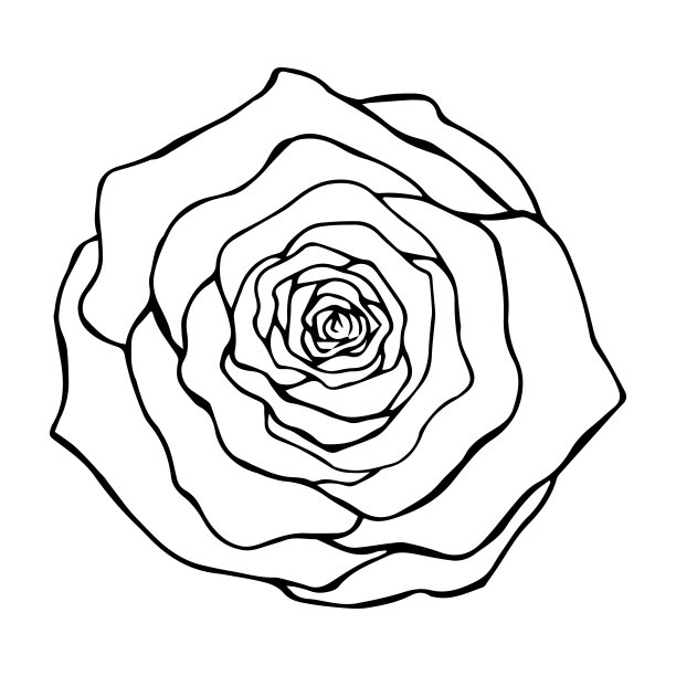 玫瑰花顶视图等高线绘制在黑色的白色背景孤立,矢量插图图片 玫瑰花顶视图等高线绘制在黑色的白色背景孤立,矢量插图图片下载
