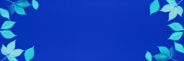 秋季或秋季旗帜色调的经典蓝色2020年与复制空间。回到学校图片 秋季或秋季旗帜色调的经典蓝色2020年与复制空间。回到学校图片下载