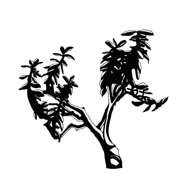 用黑色墨水在白色背景上单独画一棵树图片 用黑色墨水在白色背景上单独画一棵树图片下载