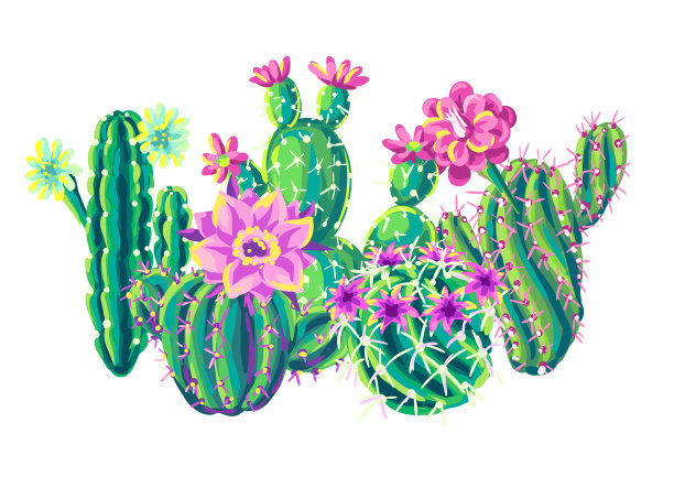 背景有仙人掌和花。图片 背景有仙人掌和花。图片下载