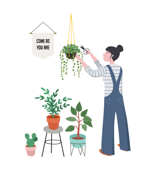 都市丛林时尚家居装饰与植物图片 都市丛林时尚家居装饰与植物图片下载