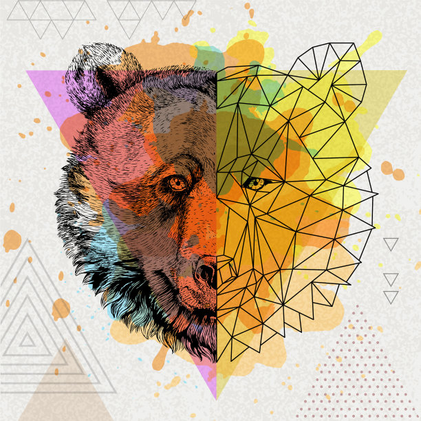 时髦的动物现实和多边形熊图片 时髦的动物现实和多边形熊图片下载