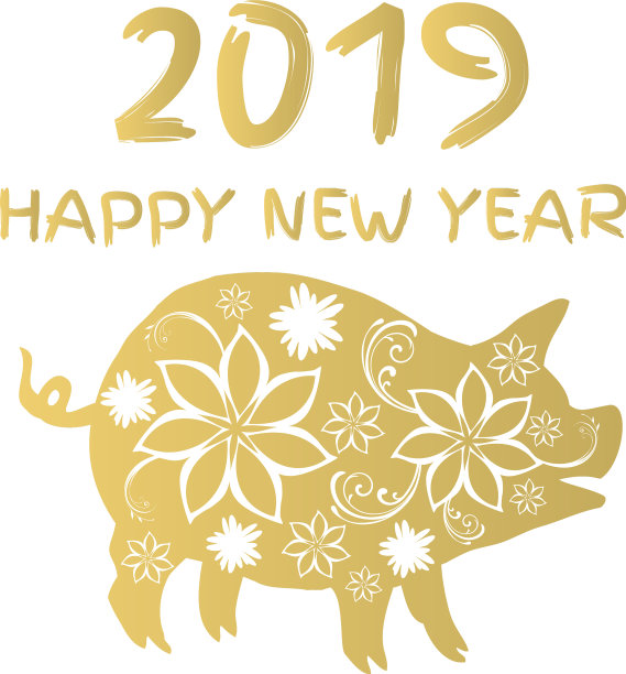 2019年花猪图片 2019年花猪图片下载