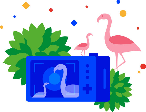 狩猎鸟照片图片 狩猎鸟照片图片下载