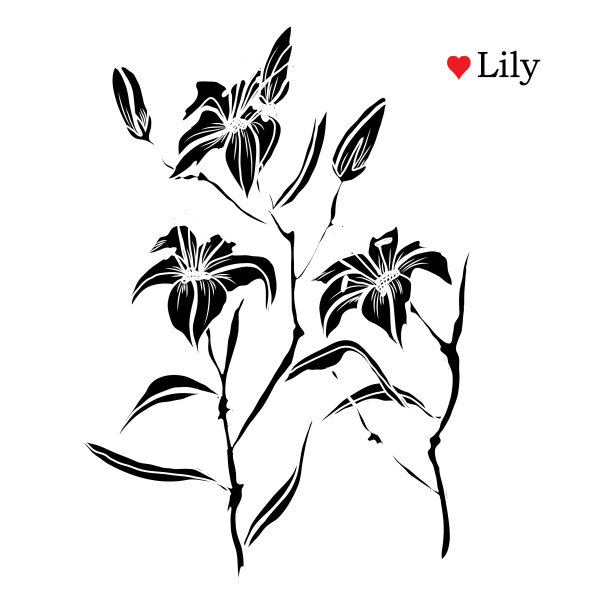 手绘花卉装饰图片 手绘花卉装饰图片下载
