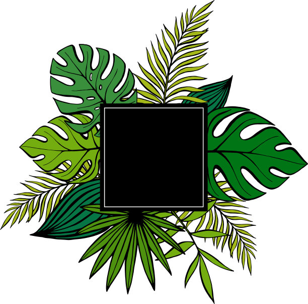丛林海报与黑色框架热带植物图片 丛林海报与黑色框架热带植物图片下载