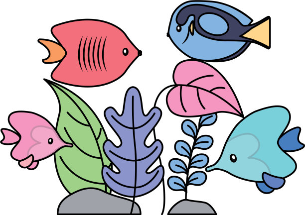 水族鱼类在白色的背景上生长图片 水族鱼类在白色的背景上生长图片下载