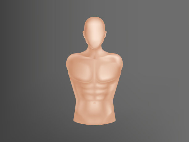 3d现实人体人体躯干图片 3d现实人体人体躯干图片下载