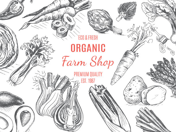 有机农场商店素描蔬菜图片 有机农场商店素描蔬菜图片下载