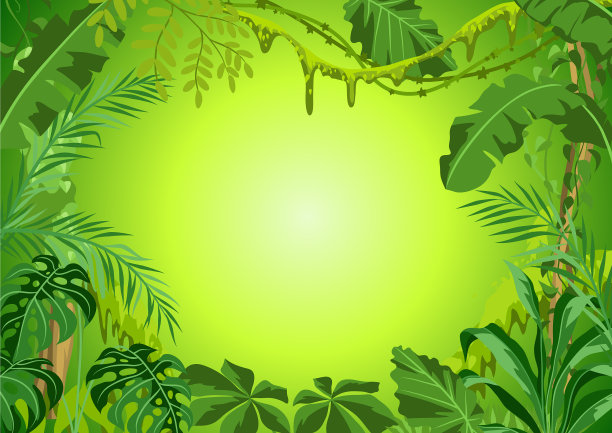 丛林植物背景图片 丛林植物背景图片下载