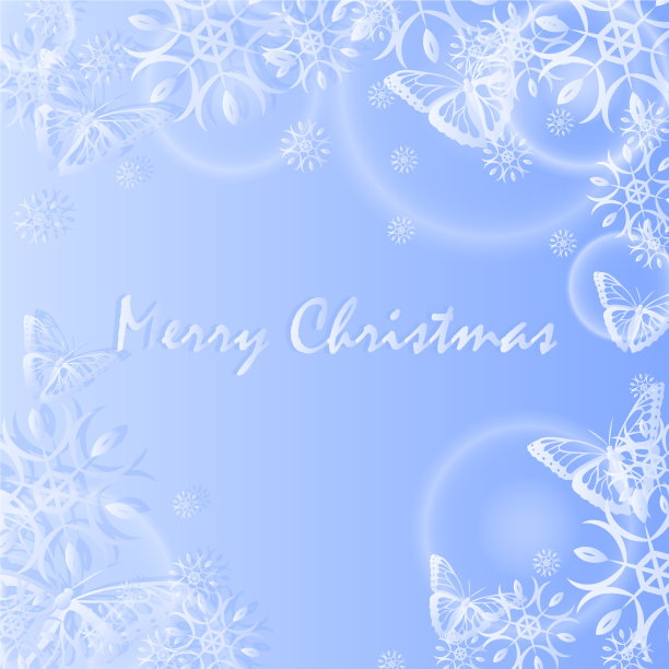 雪蝶图片 雪蝶图片下载