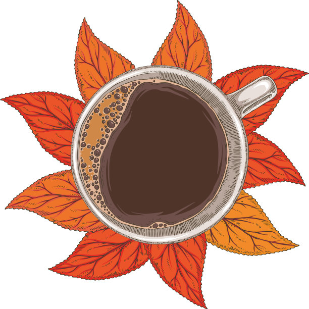 白杯咖啡俯视图图片 白杯咖啡俯视图图片下载