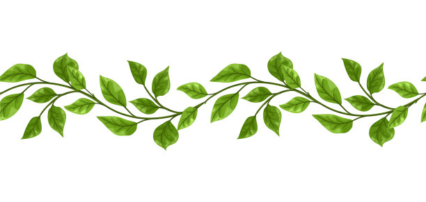 藤本无缝花纹丛林藤本植物图片 藤本无缝花纹丛林藤本植物图片下载