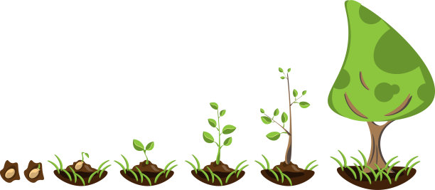 植树信息图图片 植树信息图图片下载