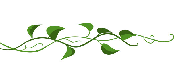 扭曲的野生藤本植物枝图片 扭曲的野生藤本植物枝图片下载