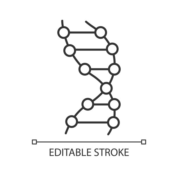DNA螺旋线性图标。Z-DNA。连接的点,线。脱氧核糖核酸。遗传密码。遗传学。细线说明。轮廓的象征。矢量孤立轮廓绘制。可编辑的中风图片 DNA螺旋线性图标。Z-DNA。连接的点,线。脱氧核糖核酸。遗传密码。遗传学。细线说明。轮廓的象征。矢量孤立轮廓绘制。可编辑的中风图片下载