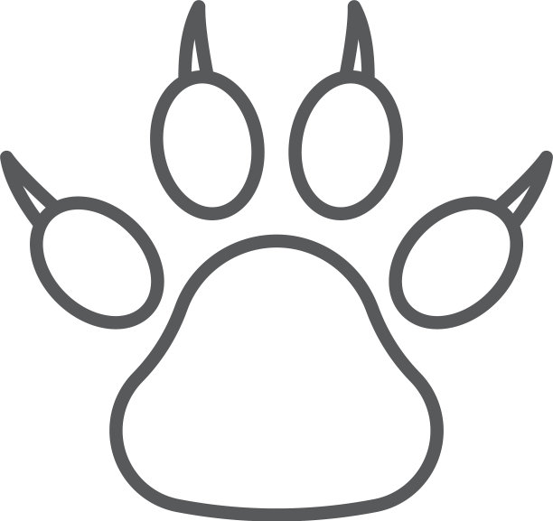 黑色爪印图标孤立在白色背景图片 黑色爪印图标孤立在白色背景图片下载