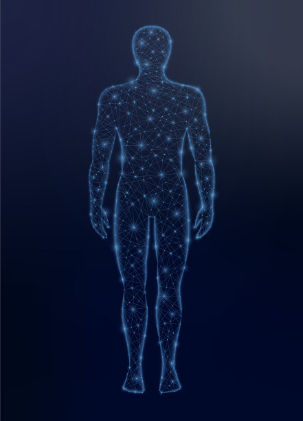 人体低聚上暗图片 人体低聚上暗图片下载
