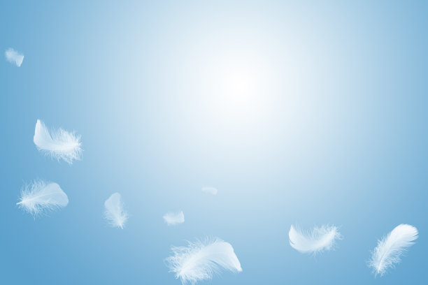 空中飘着一根雪白的羽毛。软羽抽象背景图片 空中飘着一根雪白的羽毛。软羽抽象背景图片下载