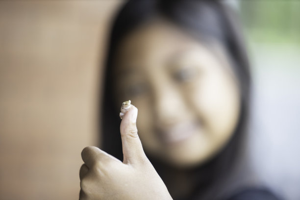 一只小青蛙栖息在女孩的手指上。图片 一只小青蛙栖息在女孩的手指上。图片下载