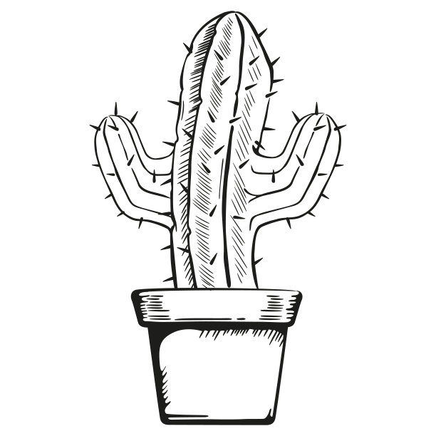 插图花瓶与仙人掌在艺术线。理想的植物和园艺材料图片 插图花瓶与仙人掌在艺术线。理想的植物和园艺材料图片下载