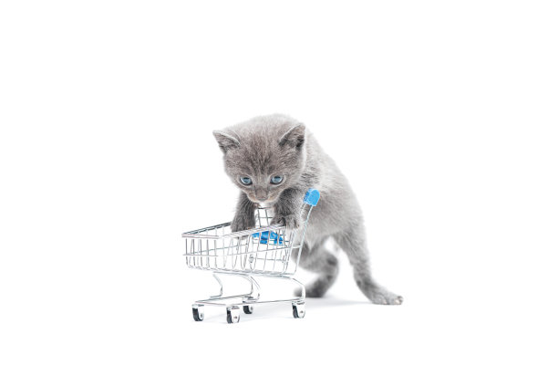 灰色小猫推着购物车。图片 灰色小猫推着购物车。图片下载