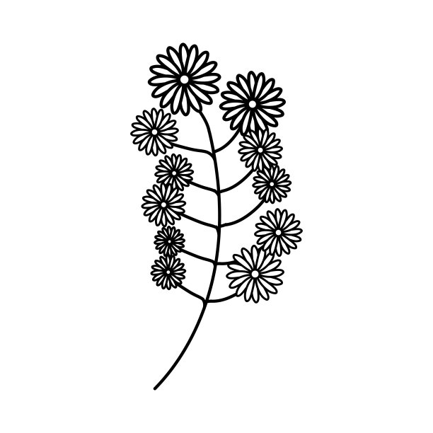 可爱的花在白色的背景图片 可爱的花在白色的背景图片下载