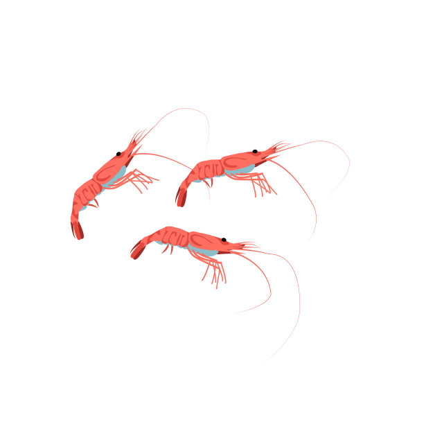 鲜虾海洋生物se图片 鲜虾海洋生物se图片下载