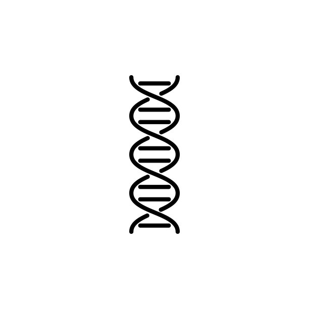 插图矢量图形的DNA图标模板图片 插图矢量图形的DNA图标模板图片下载